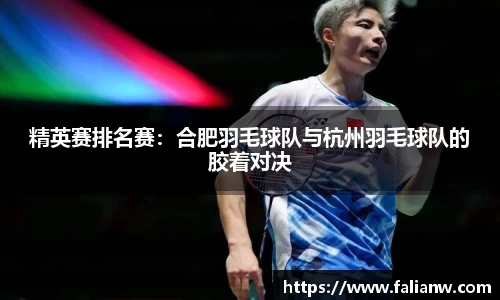 精英赛排名赛：合肥羽毛球队与杭州羽毛球队的胶着对决